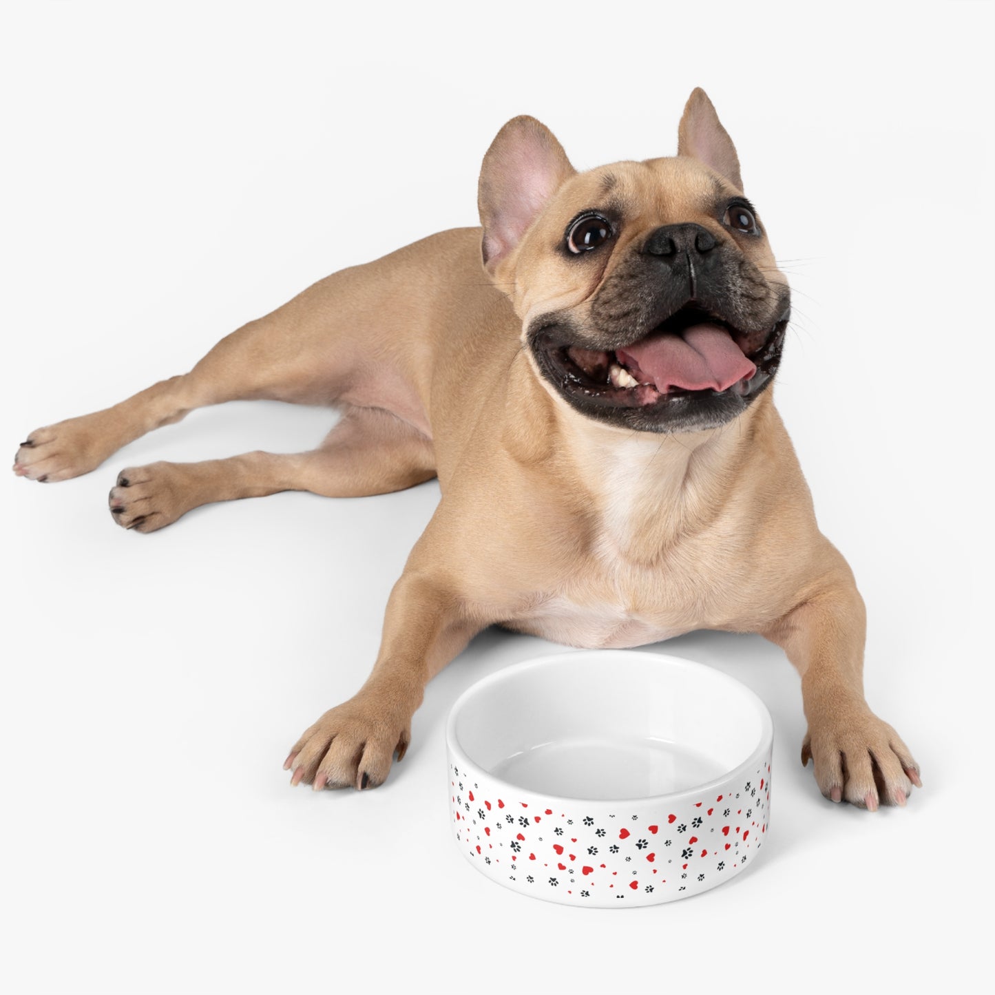 Niccie Paws and Hearts Pet Bowl: Stylish, Durable, and Functional