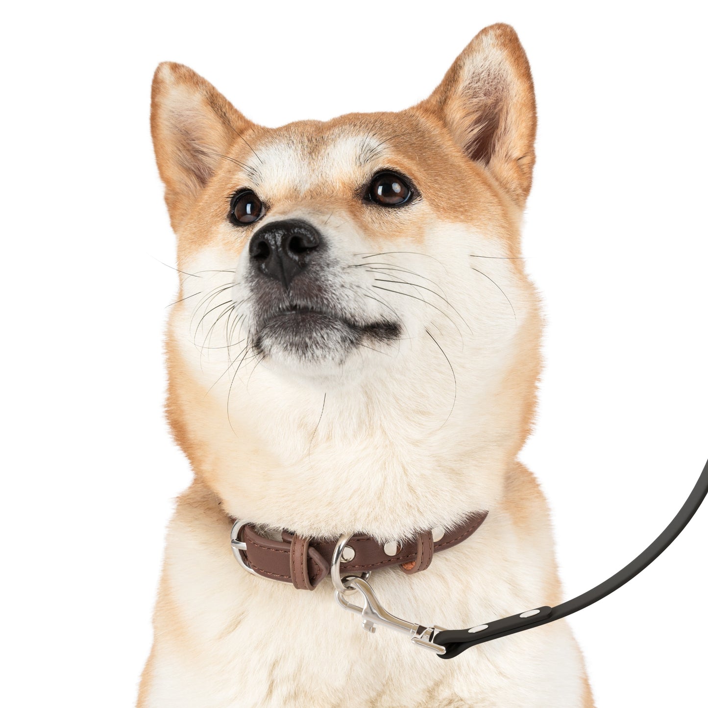 Niccie Paws & Hearts Pet Leash - Durable Dog Leash for Walks