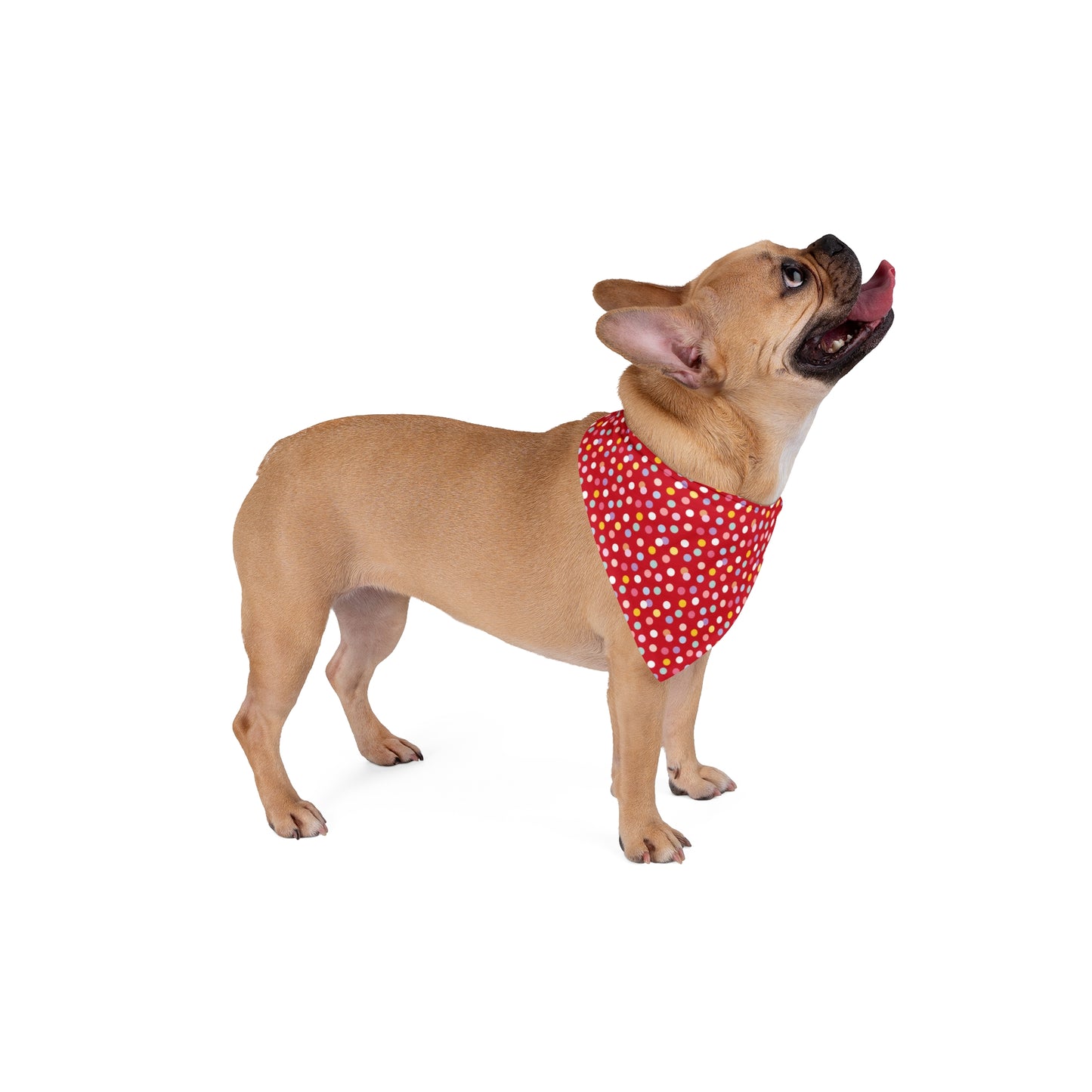 Niccie's Stylish Dotted Pattern Pet Bandana for High-Fashion Pups